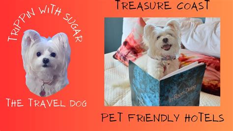 pet friendly hotels in port st lucie|dog friendly cheap hotels.